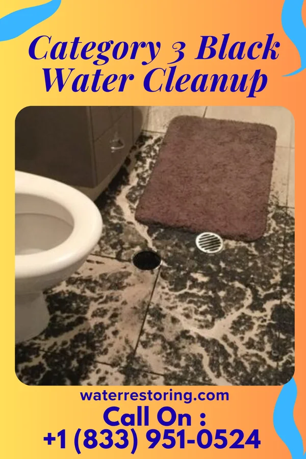 Category 3 Black Water Cleanup in Frost, TX