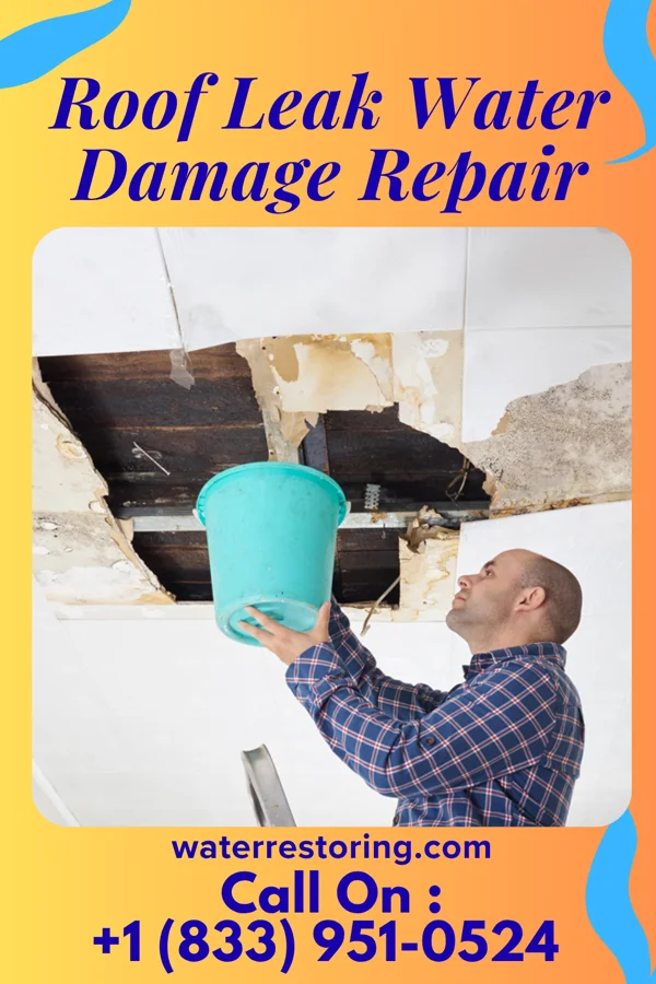 Roof Leak Water Damage Repair in Frost, TX